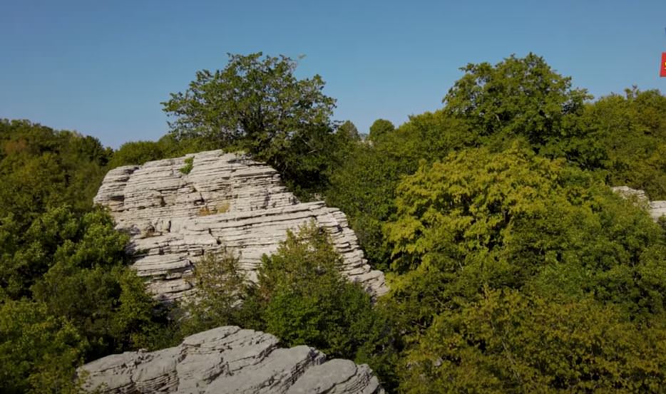 "Πέτρινο Δάσος": Το εκπληκτικό και σπάνιο αξιοθέατο της Ηπειρώτικης γης που γνωρίζουν ελάχιστοι (video)