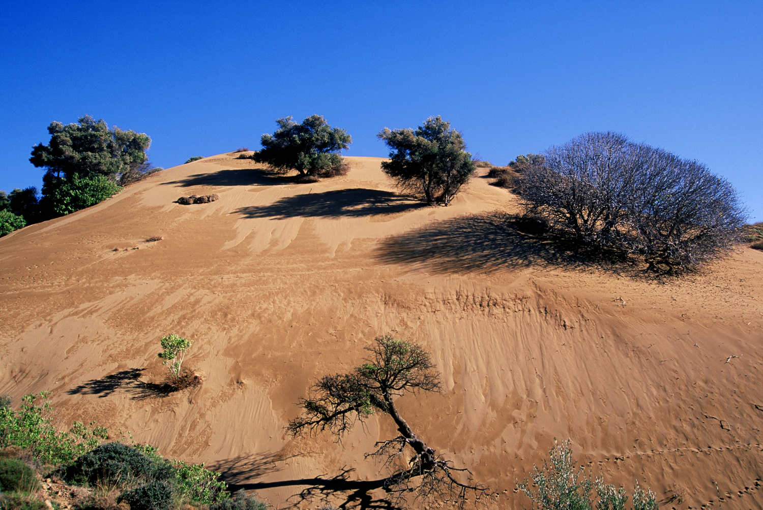 Αμμοθίνες Λήμνου: Η "Σαχάρα" της Ελλάδας που θυμίζει σεληνιακό τοπίο