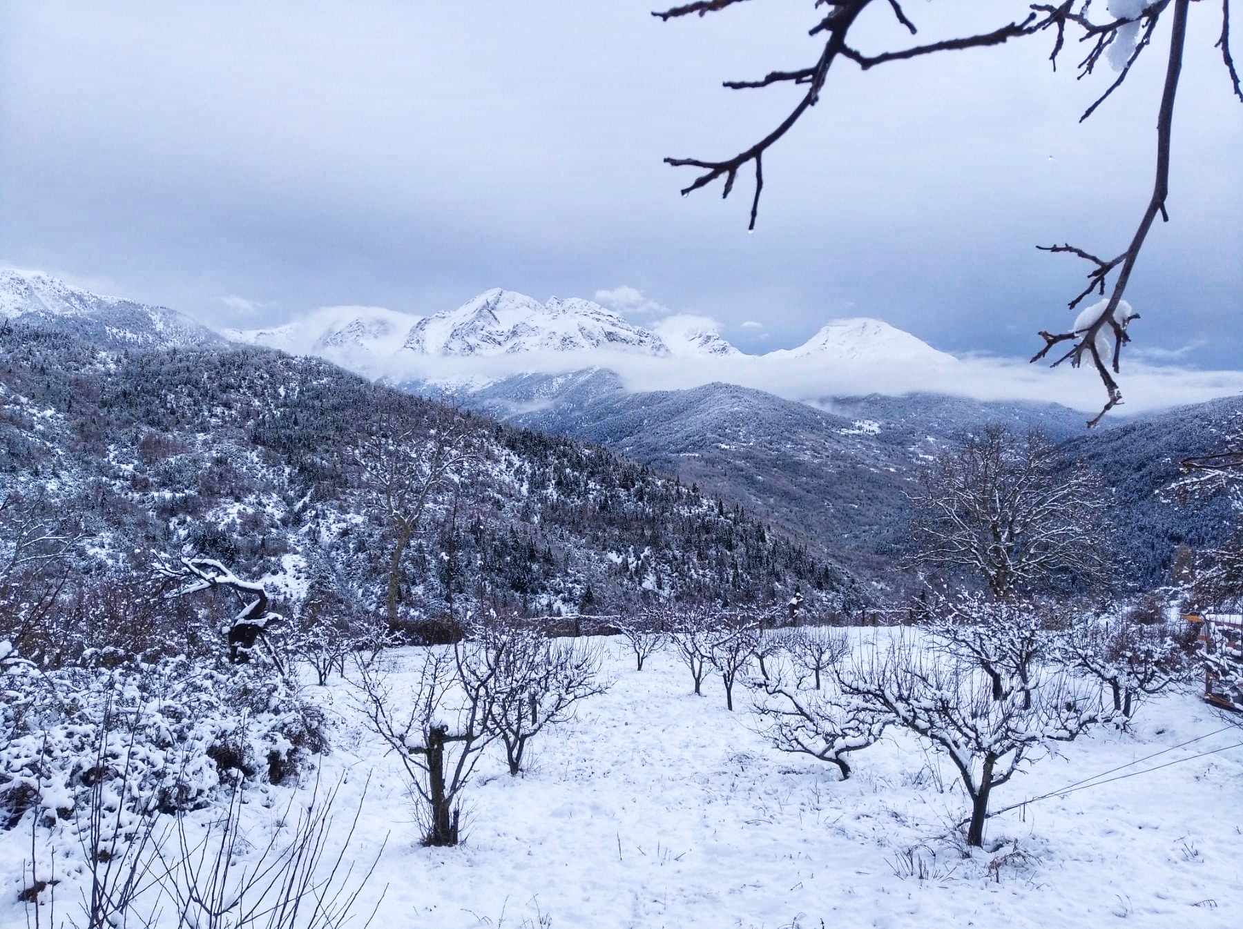 Γραμμένη Οξυά: Οδοιπορικό στο χωριό της Ορεινής Ναυπακτίας με τη γραφική ομορφιά